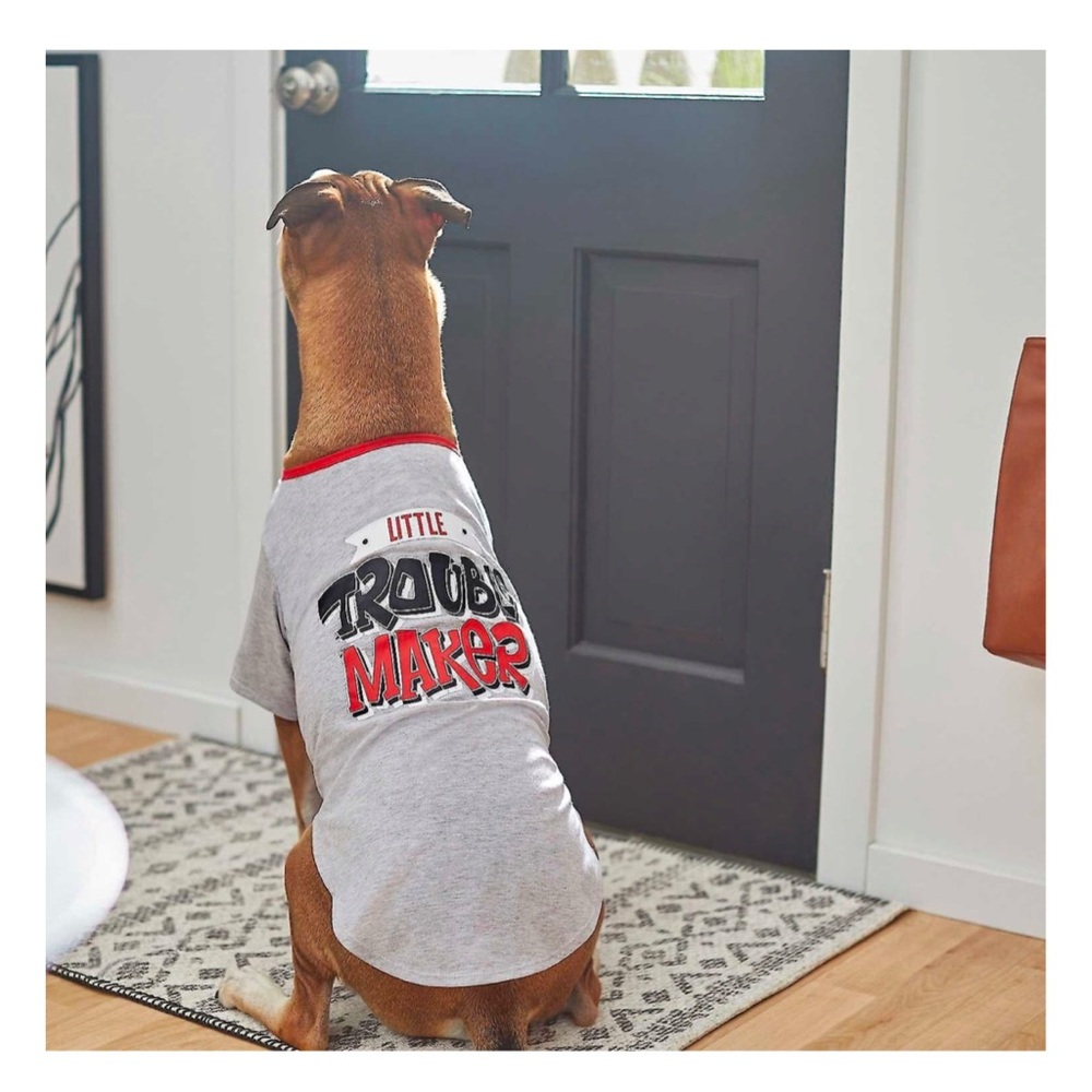 Frisco 
Little Trouble Maker 
Dog & Cat T-Shirt